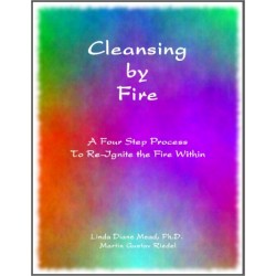 Cleansing by Fire cover