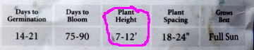 plant+height.JPG