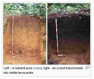 Terra_Preta.jpg